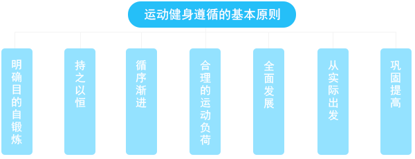 运动健身遵循的基本原则