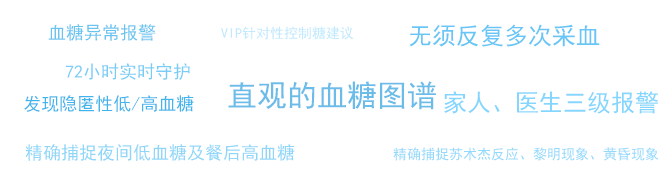 动态血糖记录仪
